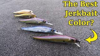 The BEST Jerkbait Colors!