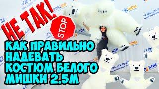 ПОДРОБНЫЙ ОБЗОР НОВОГО НАДУВНОГО КОСТЮМА БЕЛОГО МИШКИ 2.5 метра #обзор #белыймишка #квадрошоу