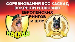 История соревнований КСС КАСКАД. Что будет, если проснётся ДОСААФ? KSS KASKAD competition.