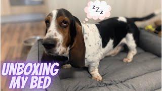 Unboxing my new bed from Hobby Dog - Sherlock the Basset Hound