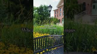 Walk Around Campus | Wheaton College
