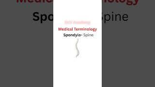 #youtubeshorts #shorts #medicalcoding #medicalterminology #anatomy#physiology#icd#cpt#cpc #biology