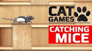 CAT GAMES -  CATCHING MICE (ENTERTAINMENT VIDEOS FOR CATS TO WATCH)