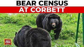 Corbett Tiger Reserve to Conduct First Bear Census in 17 Years | India Today News