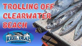 Halfday trolling for Mackerel and Barracuda on Reel Deal II