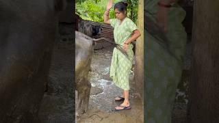 Saiba 19 bhais ke sath️ #music #bollywood #song #trending