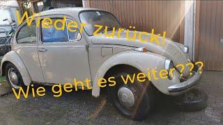 Neues Projekt VW Käfer von 1969 Ein echter Scheunenfund