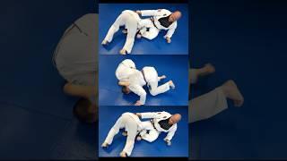 Around The World Jiu Jitsu Sequence 
