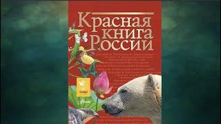 "Красная книга России", Окружающий мир 3 класс ч.1, с.89-93, Школа XXI век.