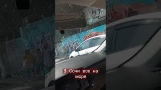 В Сочи все на море #shorts