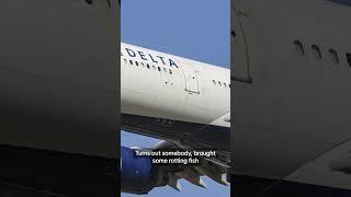 Passenger brings rotting fish on Delta flight