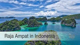 Raja Ampat in Wonderful Indonesia is simply stunning!