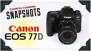 Cameta Camera SNAPSHOTS - Canon EOS 77D