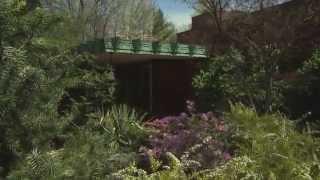 Frank Lloyd Wright's Samara | The Weekly Special