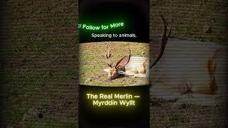 The Real Merlin — Myrddin Wyllt #shorts #foryou #historytok