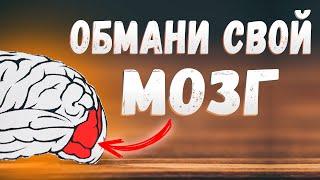 ЗАСТАВЬ СВОЙ МОЗГ РАБОТАТЬ! 3 научно доказанных способа