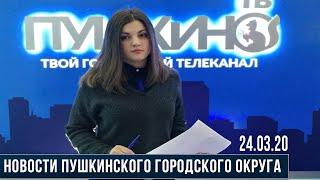 Новости Пушкинского округа 24.03.20 (21)