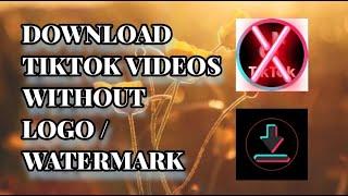 Paano Mag-download ng Tiktok Videos ng Walang Logo/Watermark [Download TikTok Videos Without Logo]