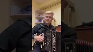 Старый клён 