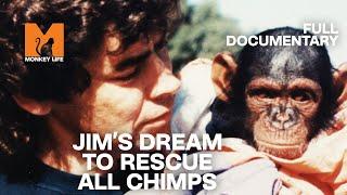 It's A Monkey Life: Jim's Dream | Full Documentary | Monkey World