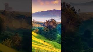 Beautiful Nature Scenery #shorts #viralshort #youtubeshorts #youtube | NATURE RELAXATION MOVIES