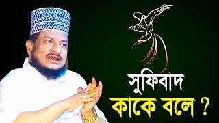 Waz, সুফিবাদ কাকে বলে? | Sheikh Saadi Abdullah Sadekpuri Waz | মাওলানা শেখ সাদী আব্দুল্লাহ সাদেকপুরী