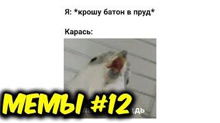 МЕМЫ ЕСТЬ МЕМЫ #12