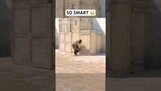 CS2 Pros are so Smart 