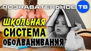 Школьная система оболванивания (Познавательное ТВ, Владимир Базарный)