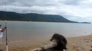 Taylor Point near Trinity Beach Cairns