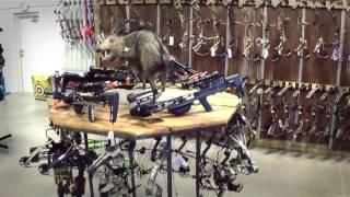 Diamond Archery