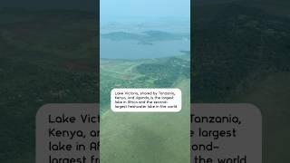 Lake Victoria: The second-largest freshwater lake in the world!