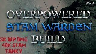 OVERPOWERED STAMINA WARDEN BUILD - SUMMERSET / WOLFHUNTER META [ INSANE DAMAGE + SUSTAIN ] | DragooX