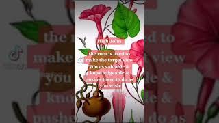 Herbs to Curb Free Will