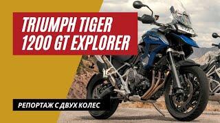 Triumph Tiger 1200 GT Explorer 2022 | Цель - поджарить Гуся | Мотоциклы для Взрослых 