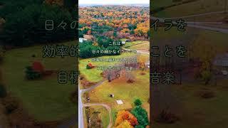 癒しの動画 ーイライラ解消のための音楽ー