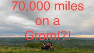 High Mileage Honda Grom Walkaround!