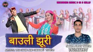 Bauli Jhuri / Latest Pahari Video Song 2022 / Singer Puran Thakur by DMS Kullu