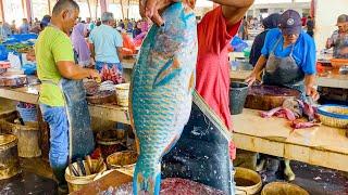 VERY RARE FISH CUTTING  IN INDONESIA FISH MARKET