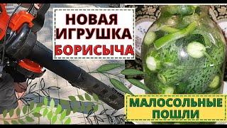 РЕЦЕПТ малосольных ОГУРЦОВ. Купили садовый ПЫЛЕСОС