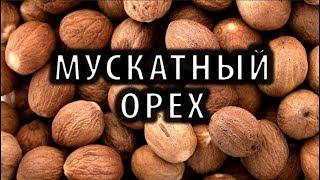 Мускатный Орех Не как Наркотик