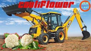 HOW TO SMASH CAULIFLOWER WITH JCB (DP LABS)?
