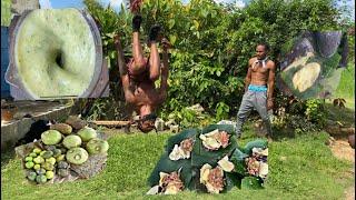 Harvesting Tropical Fruits to Make the Most Delightful Natural Beverage