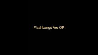 Flashbangs Are OP