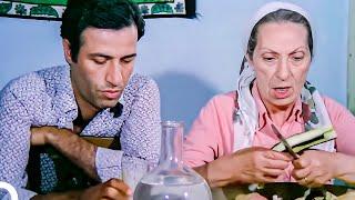 Devlet Kuşu | Kemal Sunal Komedi Filmi İzle