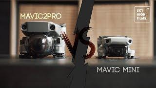 MAVIC MINI VS MAVIC 2 PRO | WHICH ONE?