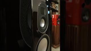 Monitor Audio Gold 200