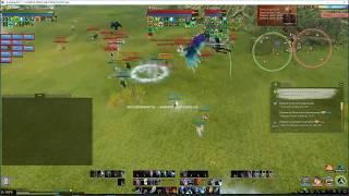 ArcheAge Хазе (Хранитель Open World Pvp)