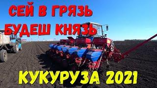 #кукурузарастение#сеемкукурузу2021#кукуруза.Сев кукурузы 2021/Сеялка точного высева ТСМ-4150 а.