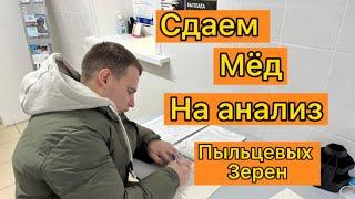 Натуральный мед, как проверить мёд, пыльцевой анализ, покупка меда, продажа меда, пыльца , перга.